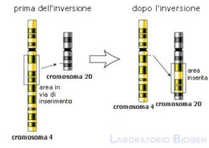 Inversioni cromosomiche
