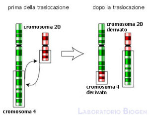 Traslocazioni cromosomiche