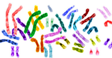 Cariotipo o Mappa Cromosomica