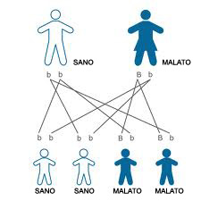 TRASMISSIONE AUTOSOMICA DOMINANTE