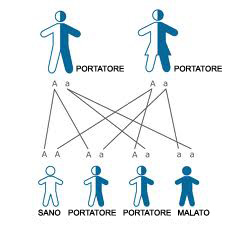 TRASMISSIONE AUTOSOMICA RECESSIVA