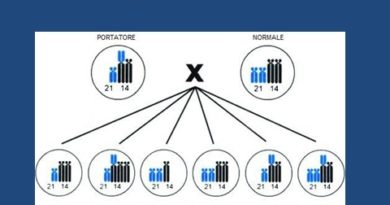 Traslocazioni e Riproduzione