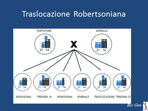 Traslocazioni e Riproduzione