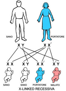 TRASMISSIONE  X-LINKED DOMINANTE E RECESSIVA