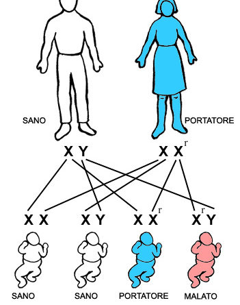 Le modalità di trasmissione delle malattie genetiche