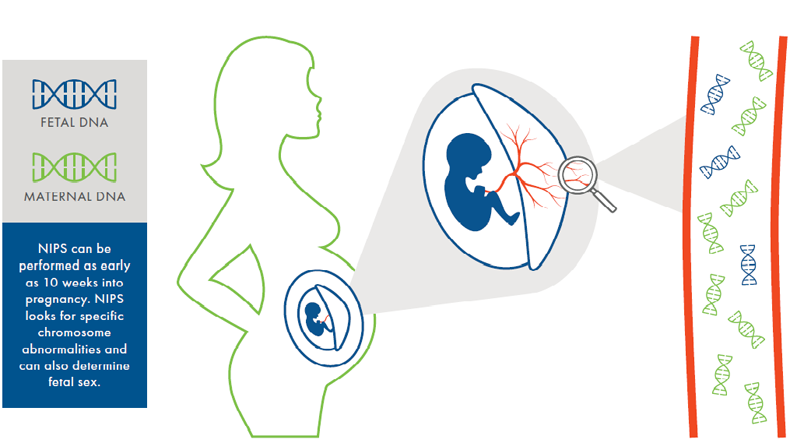 Il Test prenatale non invasivo