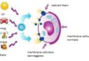 Specie reattive dell'ossigeno-ROS e infertilità maschile