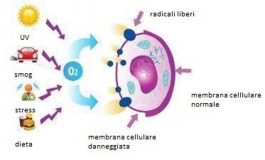 Specie reattive dell'ossigeno-ROS e infertilità maschile