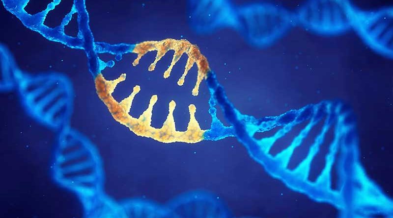 Principali cause genetiche dell’infertilità